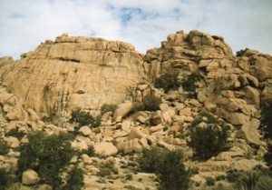 Landscape, Joshua Tree National Monument, 1989, photo © Janice Samper