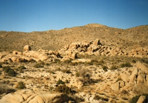 Landscape, Joshua Tree National Monument, 1989, photo © Janice Samper