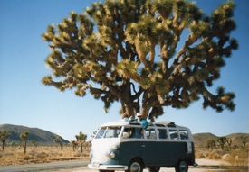 Kyle Samper in Joshua Tree National Monument, 1989, photo © Janice Samper